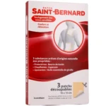 Saint Bernard Patchs